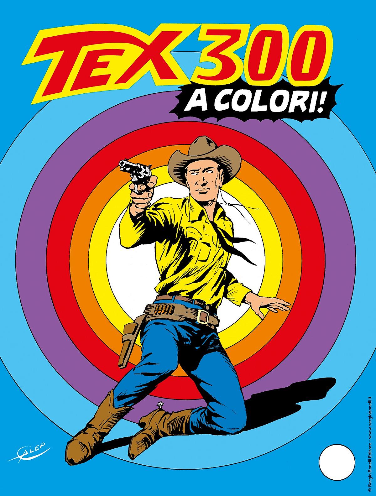 Tex 300 cover