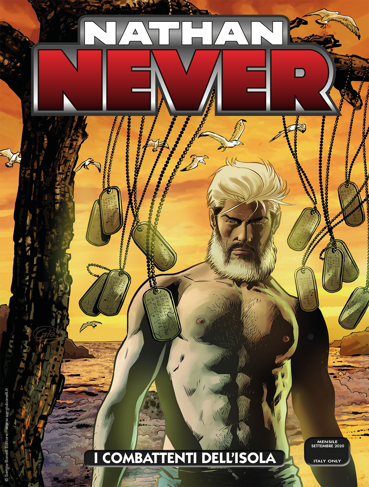 I combattenti dell'isola - Nathan Never 352 cover