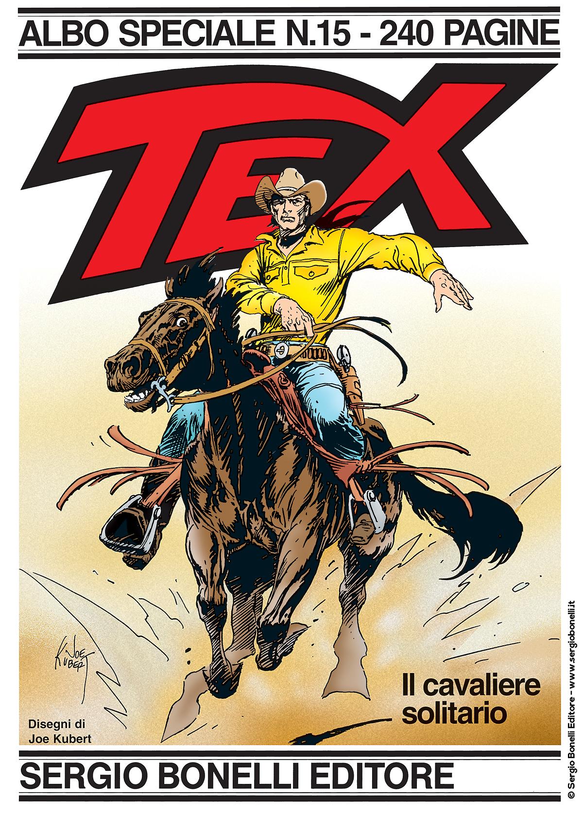 Il cavaliere solitario