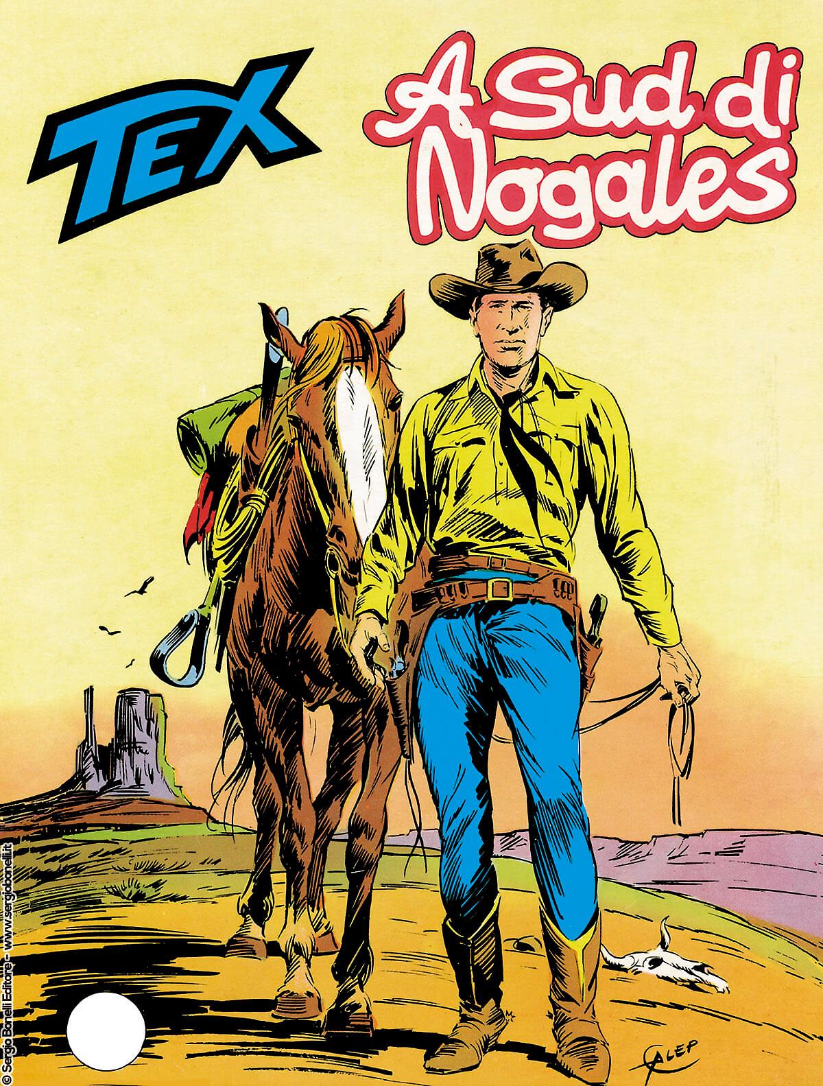 A sud di Nogales