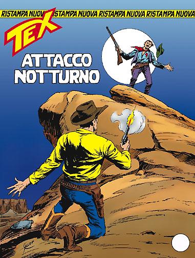 Attacco notturno