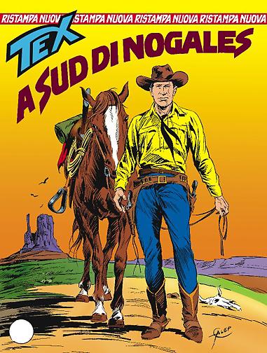 A sud di Nogales