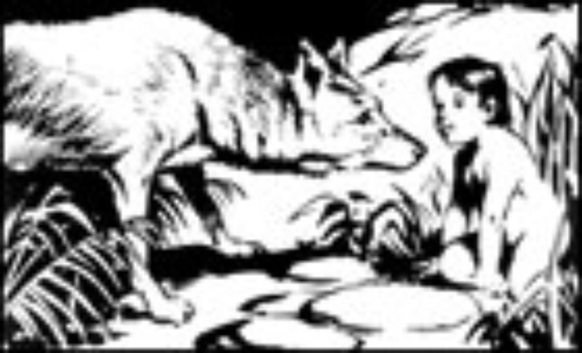 il libro della Jungla