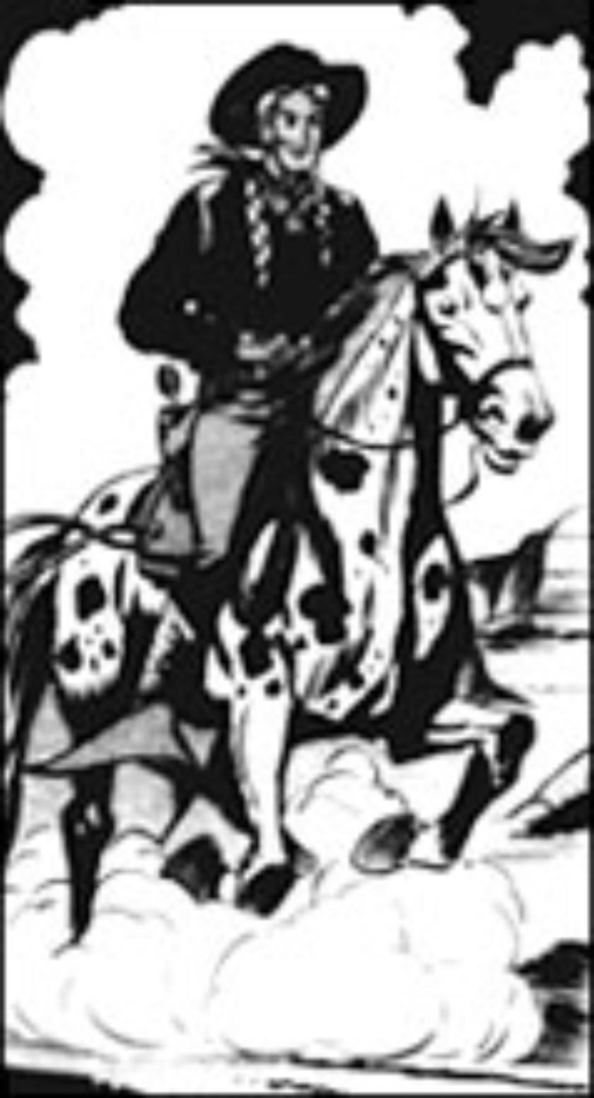 Il Cavaliere Nero